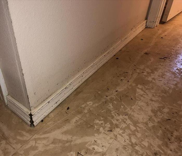 Stormwater Flooded Basement 