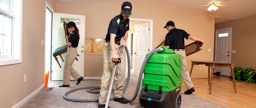 Edmonds, WA cleaning services